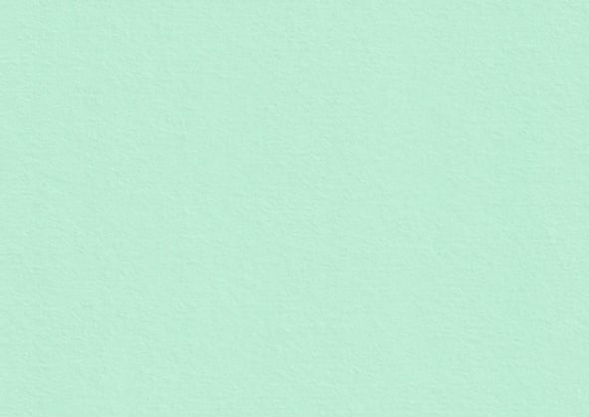 Colorplan Park Green Flat Place Cards