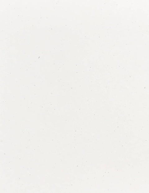 SPECKLETONE True White - 8.5X11 Card Stock Paper - 100lb Cover (270gsm) - 2