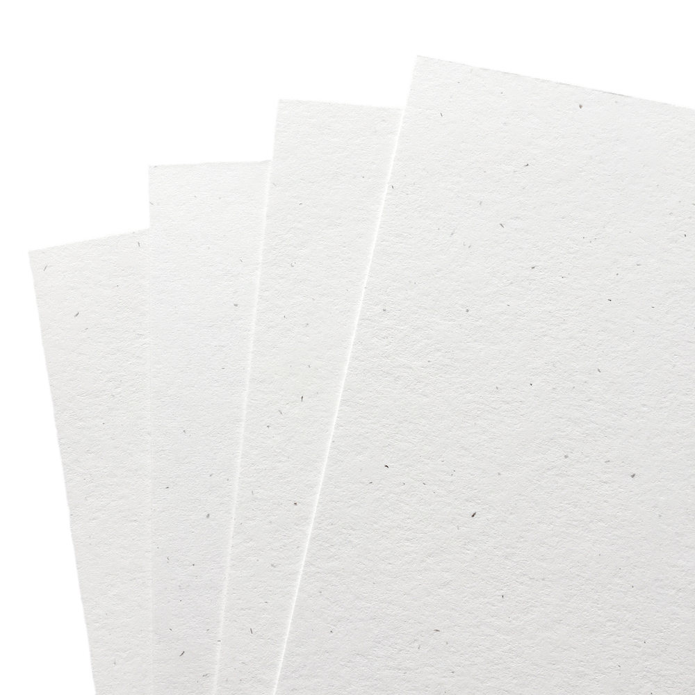 Cardstock Paper: Assorted White & Colored Cardstock for Schools