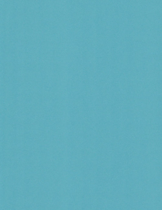 Azzurro Blue | Woodstock Cardstock Paper