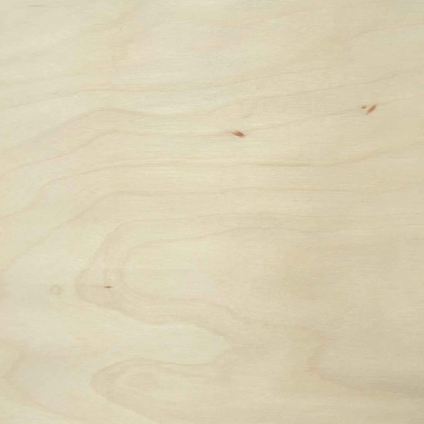 White Birch Wood Veneer | Timberluxe 12 x 12