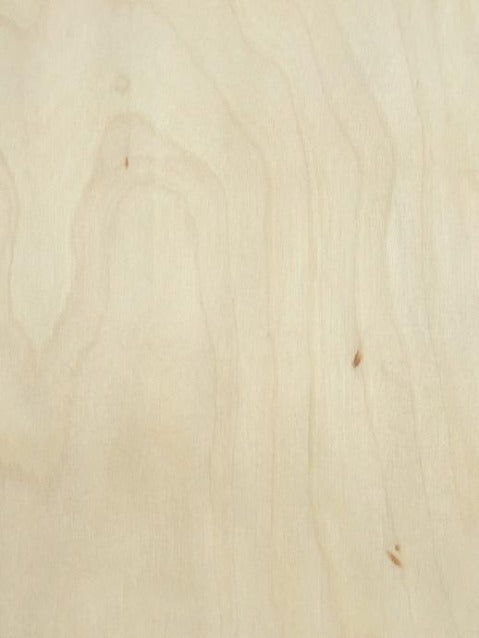 White Birch Wood Veneer | Timberluxe 8.5 x 11
