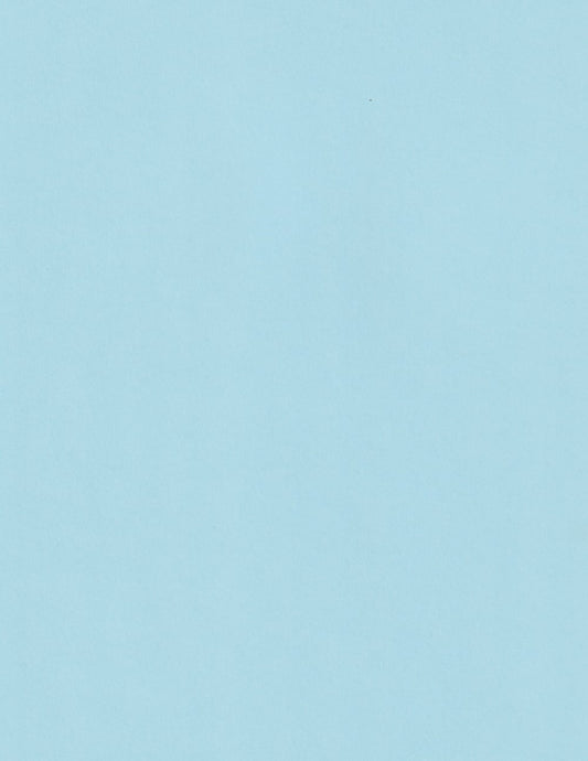 Celeste Sirio | Light Blue Colored Cardstock Paper