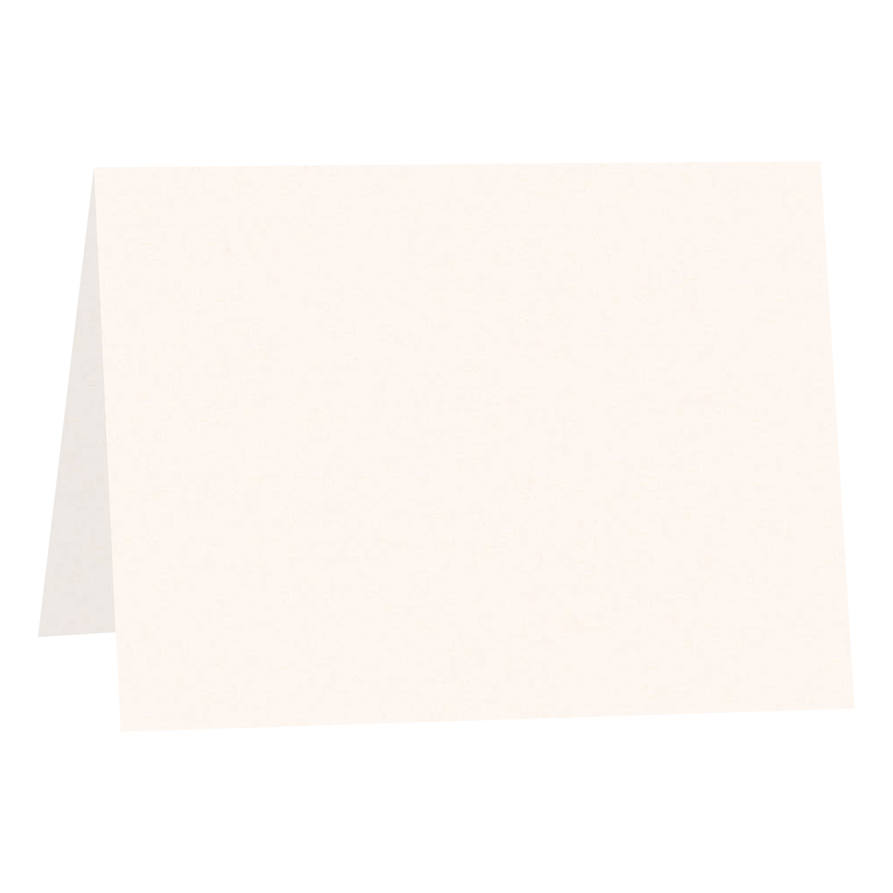 Vellum White  Folded Place Cards