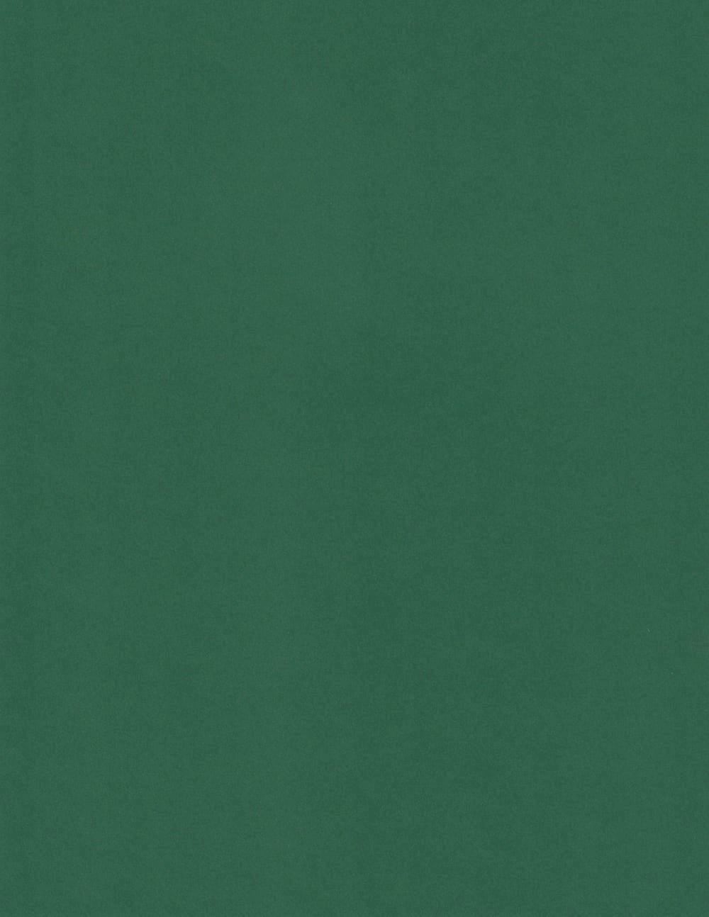 Foglia Sirio | Green Colored Cardstock Paper