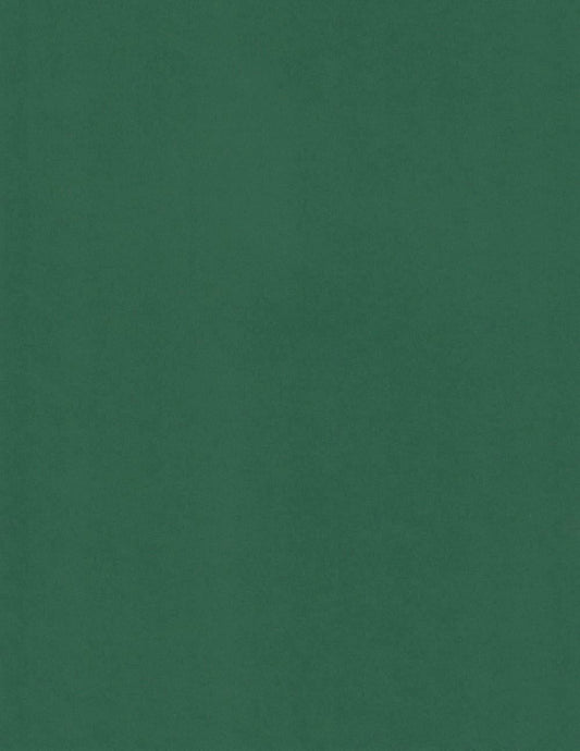 Foglia Sirio | Green Colored Cardstock Paper