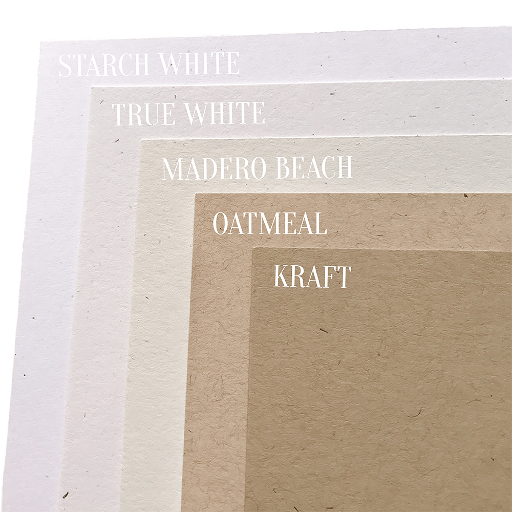 Starch White Speckletone Cardstock
