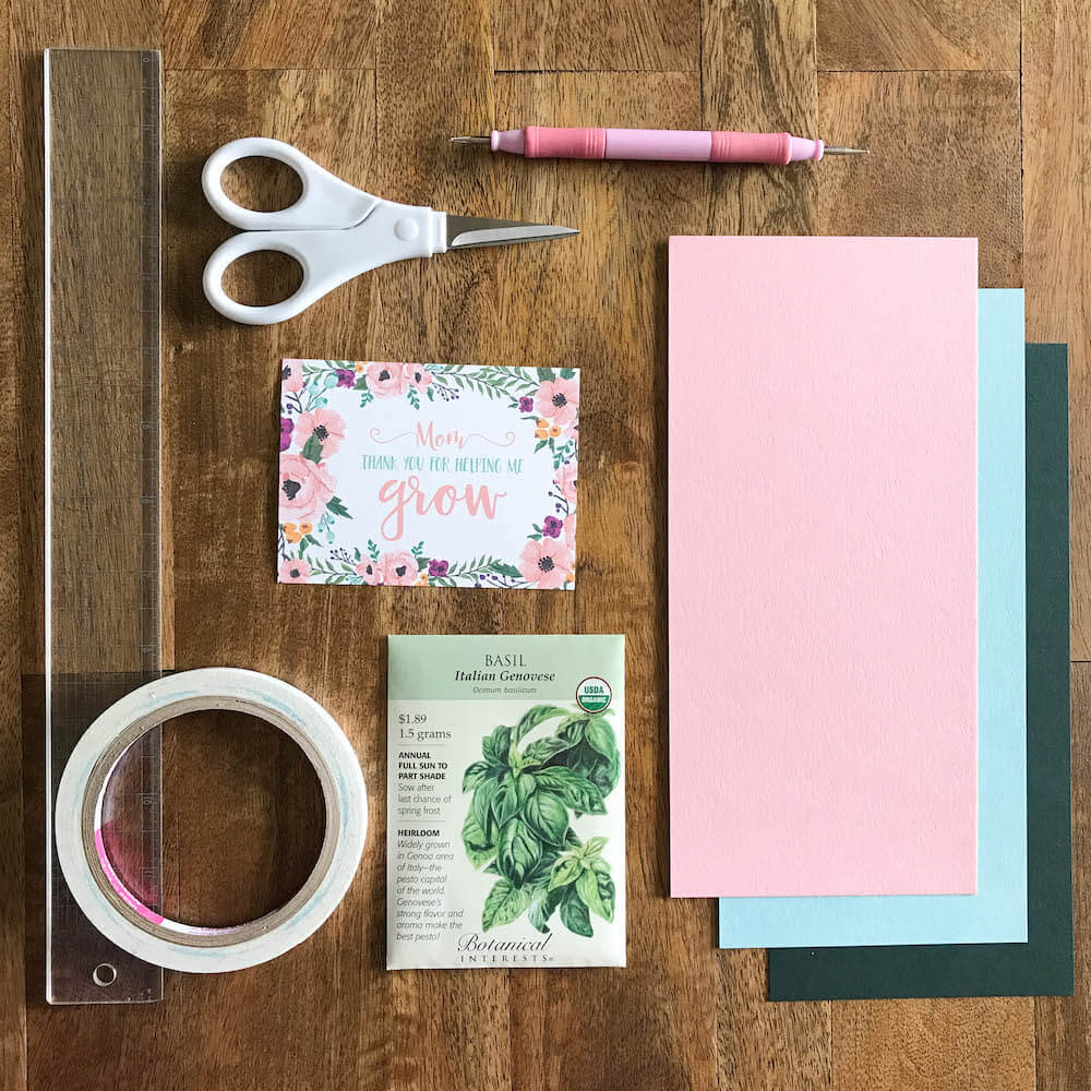 Timber Green Cardstock  | Solid-Core Recycled