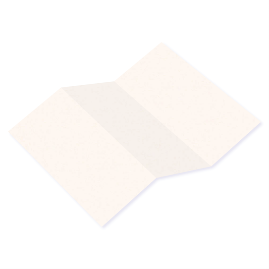 Vellum White Tri Fold Card